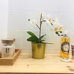 Sinos Da Se 塞图巴尔