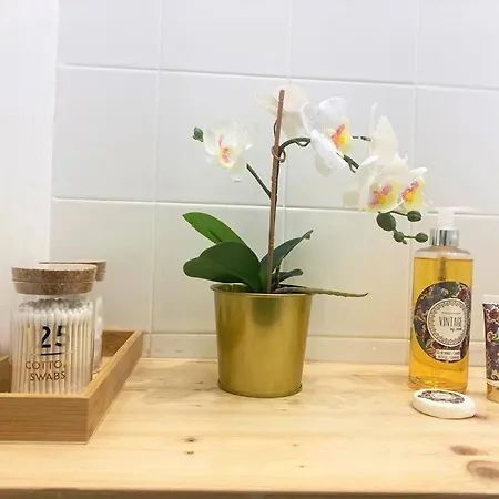 Sinos Da Se Setúbal