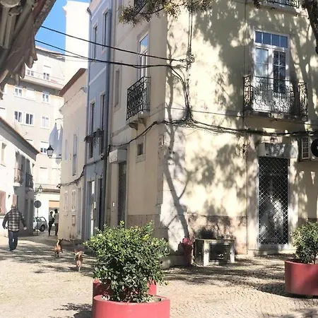 Sinos Da Sé