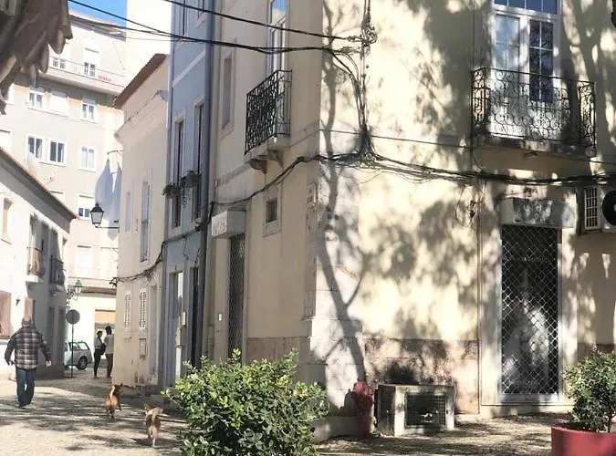 Sinos Da Se